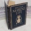 Picture of British Marine Life (Britain in Pictures, No. 70)