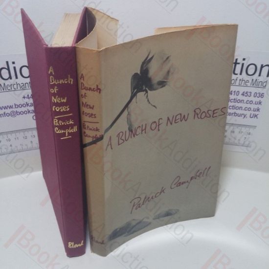 Picture of A Bunch of New Roses