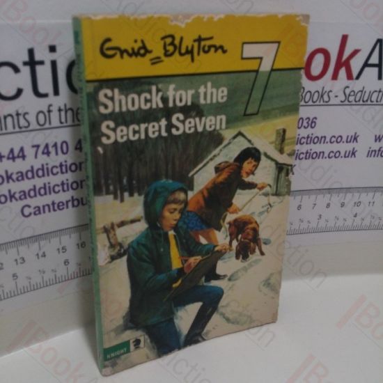 Picture of Shock for the Secret Seven