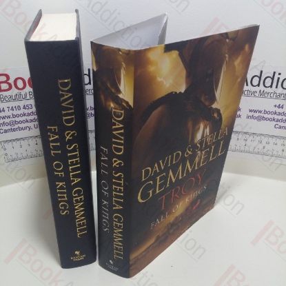 Picture of Troy, Fall of Kings (Trojan War Trilogy, Book 3)