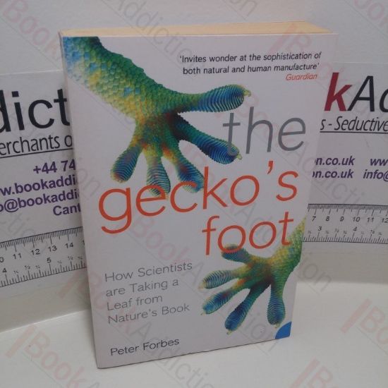 Picture of The Gecko's Foot : How Scientists Are Taking a Leaf from Nature's Book