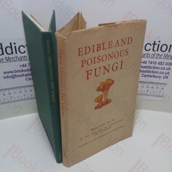 Picture of Edible and Poisonous Fungi (Bulletin No. 3)