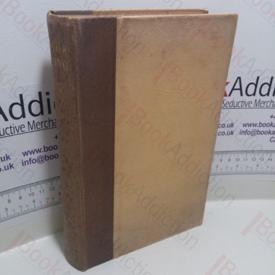 Picture of Motor Racing