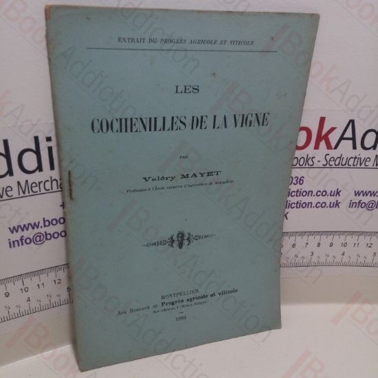 Picture of Les Cochenilles De La Vigne [Caterpillars of the Vine]