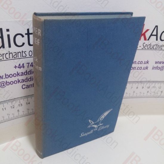 Picture of Silver Chief, Dog of the North