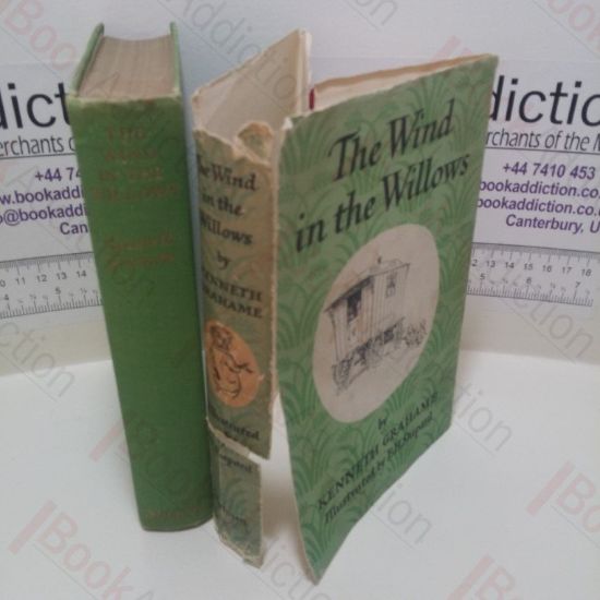 Picture of The Wind in the Willows