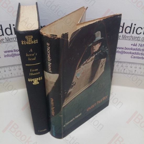 Picture of A Horse's Head