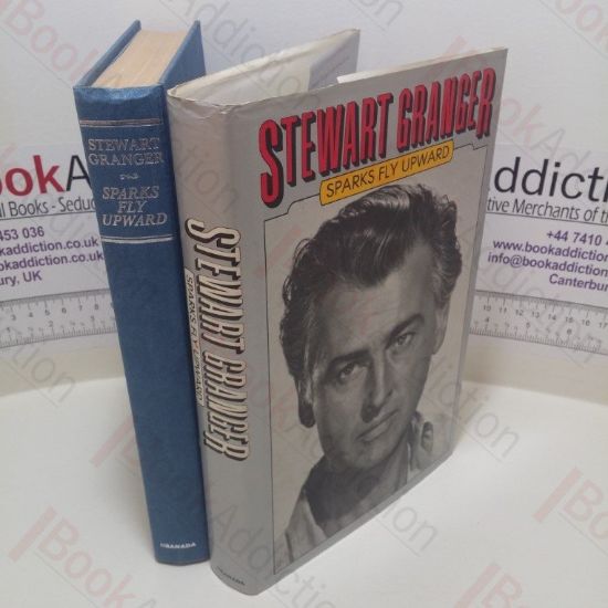 Picture of Sparks Fly Upward