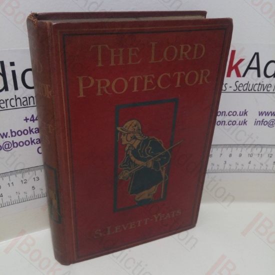 Picture of The Lord Protector