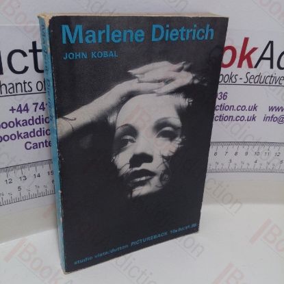 Picture of Marlene Dietrich