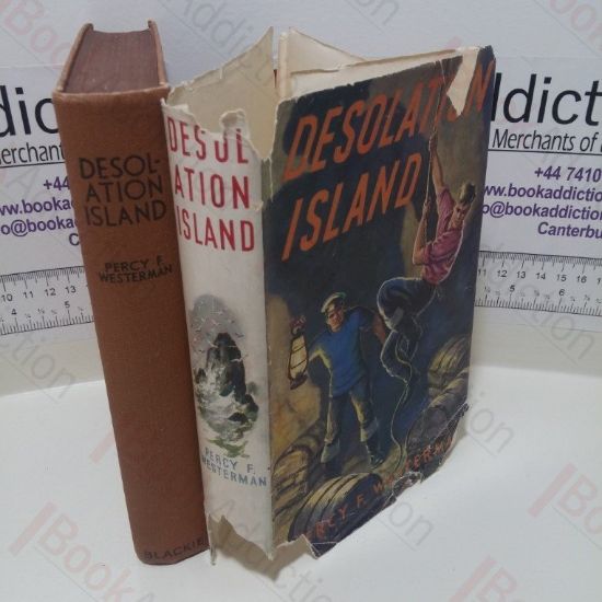 Picture of Desolation Island