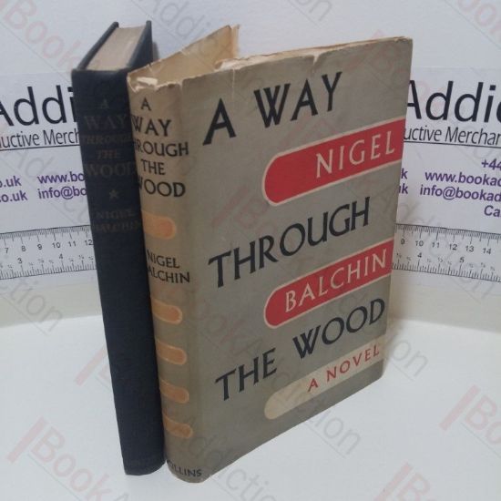 Picture of A Way Through the Wood