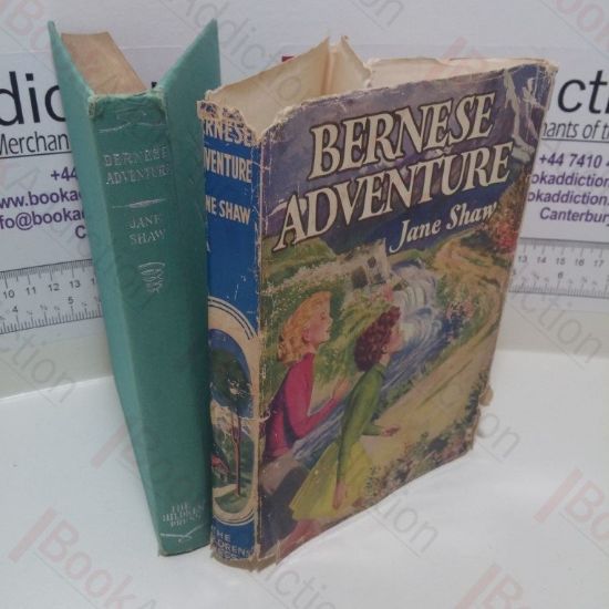 Picture of Bernese Adventure