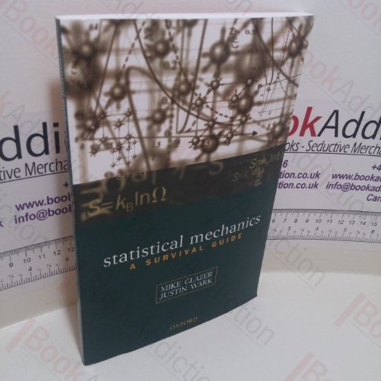 Picture of Statistical Mechanics : A Survival Guide