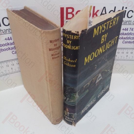 Picture of Mystery By Moonlight