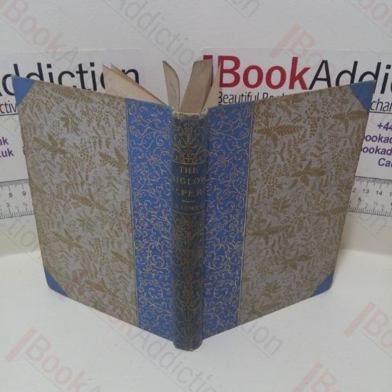 Picture of The Biglow Papers