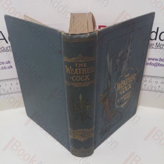 Picture of The Weathercock, Being the Adventures of a Boy with a Bias