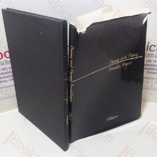 Picture of Diving and Flying : Poems and Drawings