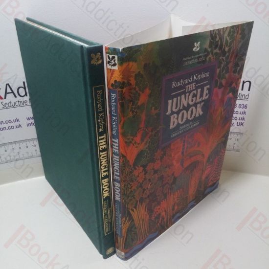 Picture of The Jungle Book