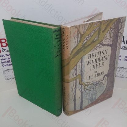 Picture of British Woodland Trees