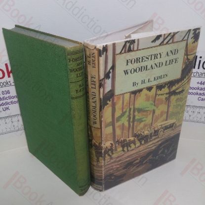 Picture of Forestry and Woodland Life