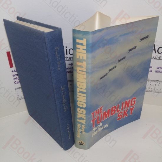 Picture of The Tumbling Sky