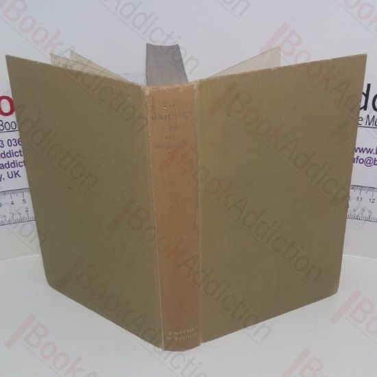 Picture of The Unicorn