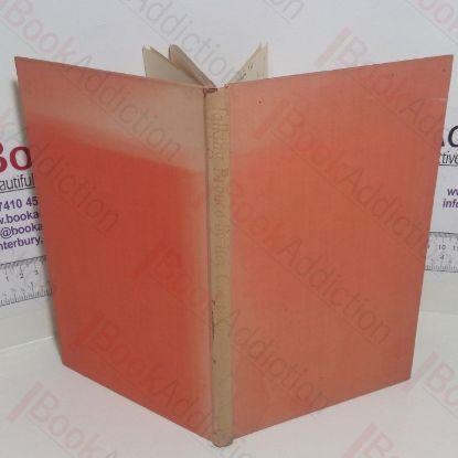 Picture of Talking Bronco