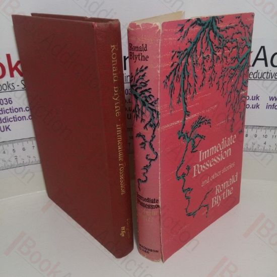 Picture of Immediate Possession and Other Stories