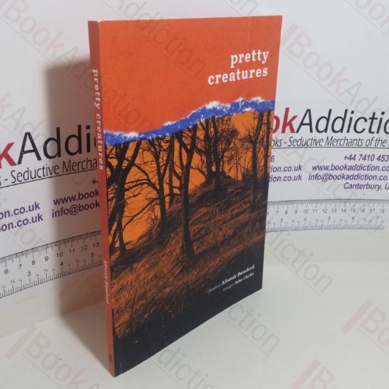 Picture of Pretty Creatures