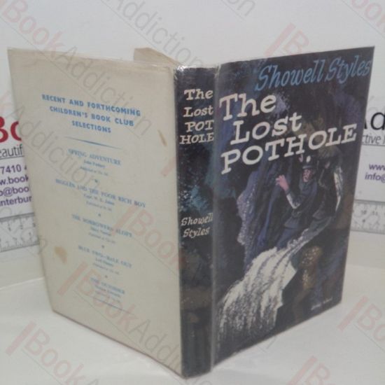 Picture of The Lost Pothole