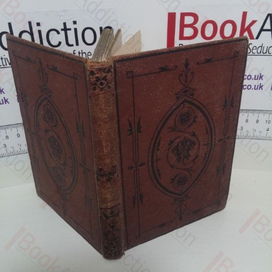 Picture of Mr Rutherford's Children