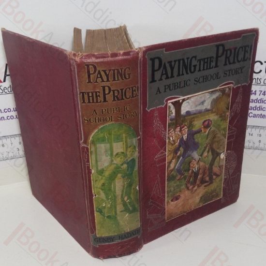 Picture of Paying The Price! A Public School Story