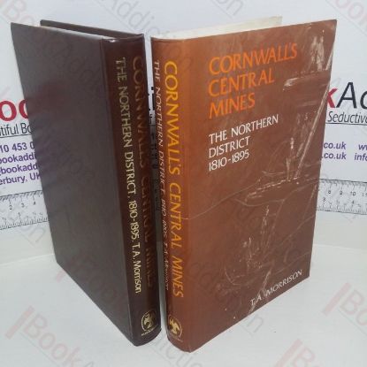 Picture of Cornwall's Central Mines: Northern District, 1810-95