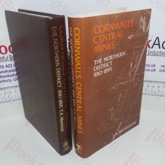 Picture of Cornwall's Central Mines: Northern District, 1810-95