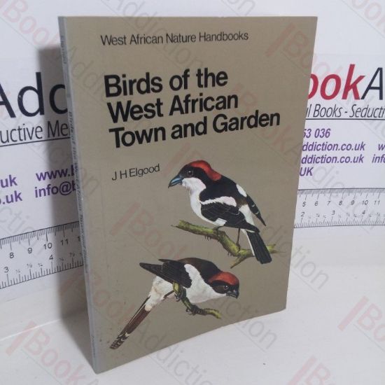 Picture of Birds of the West African Town and Garden