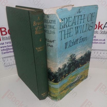 Picture of A Breath of the Wilds