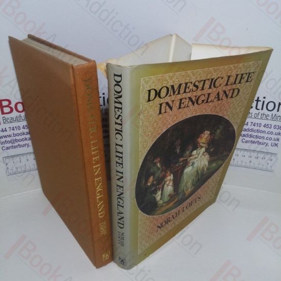 Picture of Domestic Life in England