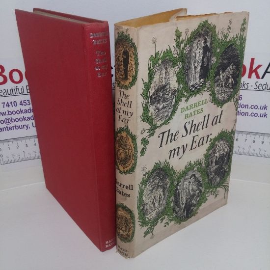 Picture of The Shell at My Ear