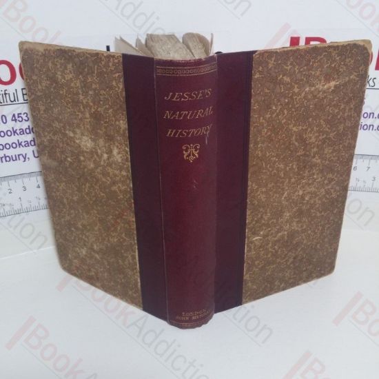 Picture of Gleanings in Natural History