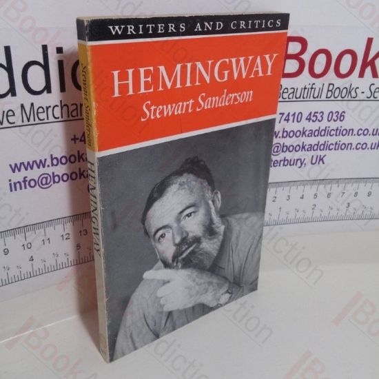 Picture of Hemingway (Writers and Critics Series)