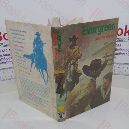 Picture of Evergreen