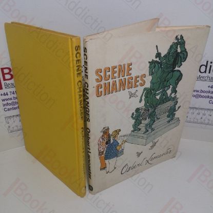 Picture of Scene Changes