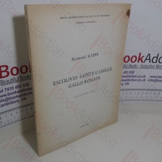 Picture of Escolives Sainte-Camille Gallo-Romain: Le Site, Le Monument Ã  Arcades