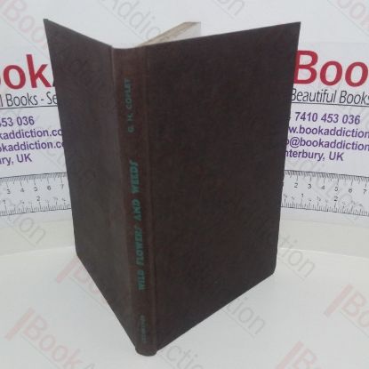 Picture of Wild Flowers and Weeds