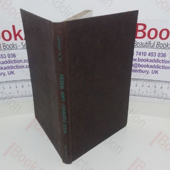 Picture of Wild Flowers and Weeds