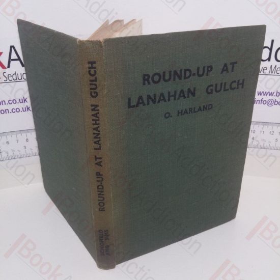 Picture of Round-Up at Lanahan Gulch