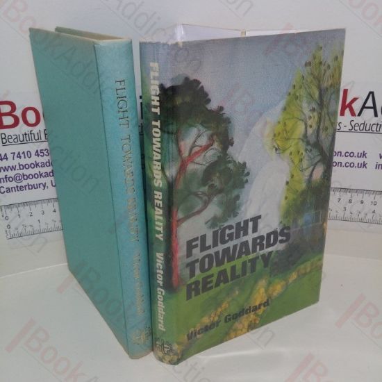 Picture of Flight Towards Reality