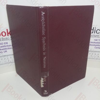 Picture of Acetylcholine Synthesis in Neurons