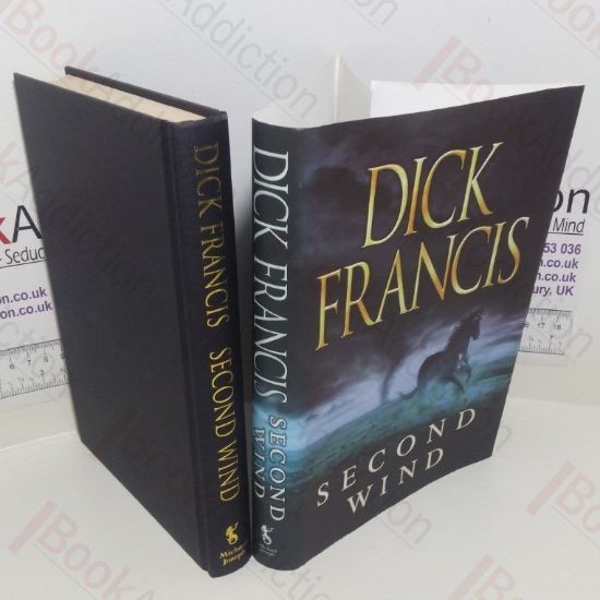 Picture of Second Wind (Signed)